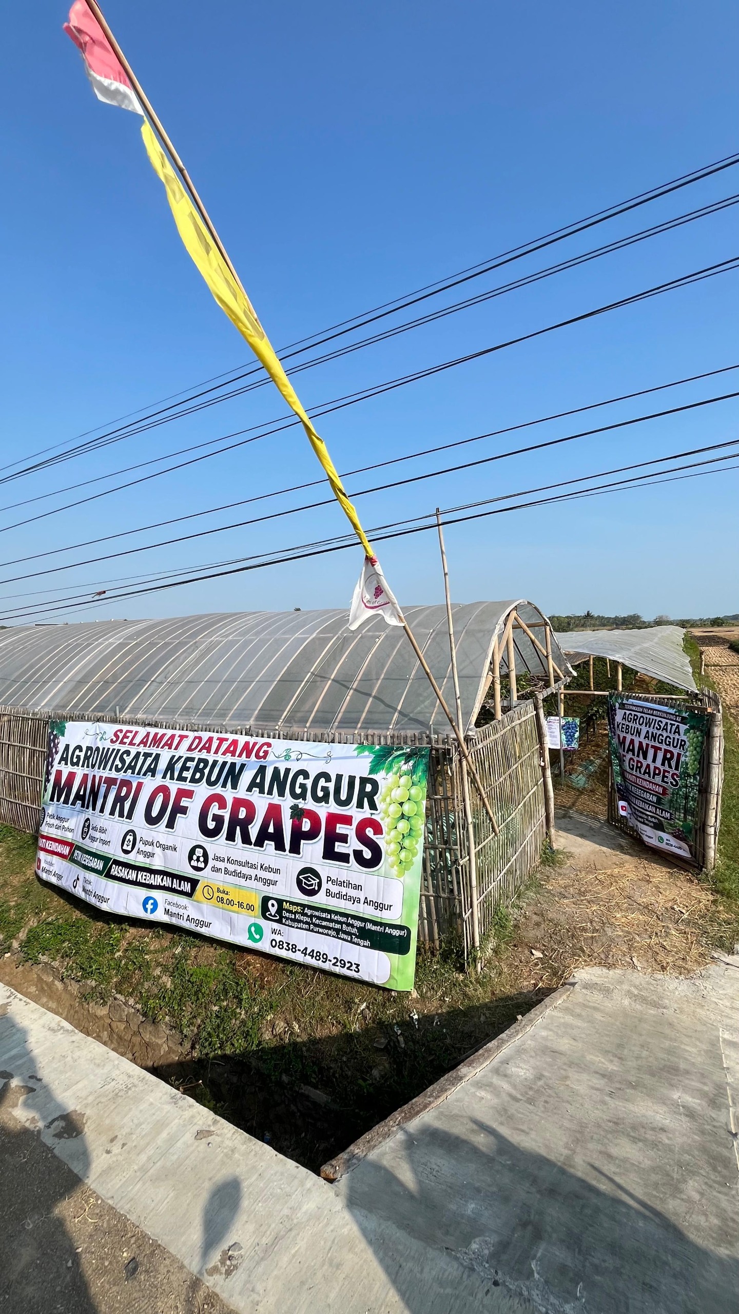 Agrowisata Kebun Anggur